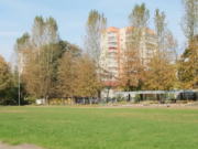 Львовский лицей вложил миллионы в ремонт спортивной площадки