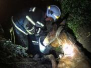 Спасательная операция на Киевщине: как спасатели ГСЧС вытащили лошадь из ловушки