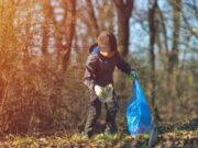 Очищение прибрежной зоны: совместные усилия в Голосеевском районе