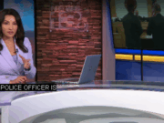 Бывший сотрудник полиции Нью-Мексико признал себя виновным в деле о fraudе