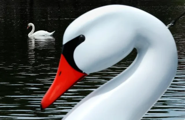 02d08c09c72075788247e895e52245eb