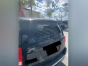 В штате Флорида мужчина бросил камень в окно машины агента ICE во время ареста отца, сообщают правоохранительные органы