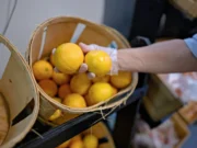 Лэндри предупреждает, что Луизиана не выпустит пособия SNAP в ноябре, еслиshutdown продолжится