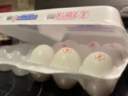 Колорадо намерено профинансировать продуктовые банки в условиях продолжающегося shutdown