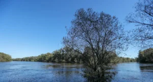 Осторожно, где купаетесь! В мире названы 5 рек Грузии с наибольшим количеством змей