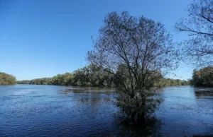 Осторожно, где купаетесь! В мире названы 5 рек Грузии с наибольшим количеством змей
