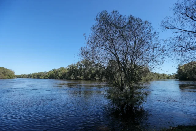 84a918ec2282dcfdb06087aba45199f6