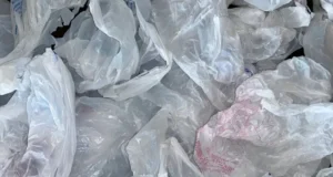 Попытка запрета пластиковых пакетов в Нью-Гэмпшире застопорилась из-за партийной линии