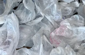 Попытка запрета пластиковых пакетов в Нью-Гэмпшире застопорилась из-за партийной линии