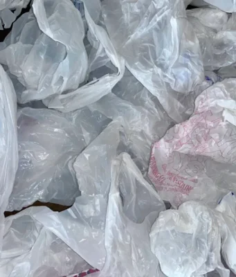 Попытка запрета пластиковых пакетов в Нью-Гэмпшире застопорилась из-за партийной линии